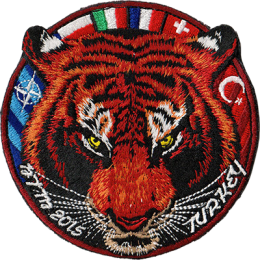 NATO Tiger Meet 2015 Logo